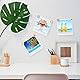 Grevosea 80 Stück Retro Pinnwand Nadeln,Push Pins,Reißnägel,Stecknadeln mit Kopf,Reißzwecken,Metall Reißnagel,Polster Reißzwecken für Bulletin Board Kork Boards Fotos Wand Home Office Decors