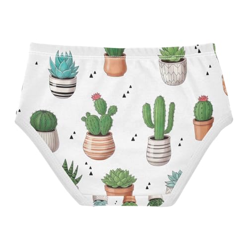 Cacti Succulents Pots Toddler Cotton Underwear, Girls Underwear, 2T–8 Years2