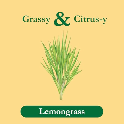 Tadin Lemongrass Tea, Herbal Tea, Caffeine Free Tea, Tea Bags Individually Wr...