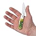 Case XX Pocket Knife BARLOW - GREEN APPLE BONE PEACH SEED JIG Item #27865-62009 1/2 SS - Length Closed: 3 3/8Inches