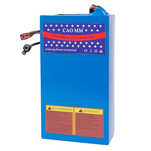 YAOYAOLIXI 48V 20Ah Lithium Battery Pack for E-Bike & Scooter | 30A Smart BMS | Compatible with 250W-1200W Motor (48v 20ah)