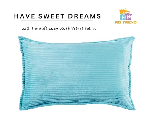 Image of RD TREND Presents Velvet 250 GSM Self Stripe Pillow Cover Set of 2 with Zipper, Size -18 inch x 28 inch Inches (45x71 Cm) (Sky)