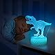 ZNZ 3D Lampe, LED Illusion Nachtlicht, 16 Farbwechsel 4 Models mit Remote & Smart Touch Stimmungslichter, Nachttischlampe Dinosaurier Geschenke für Männer Mädchen Jungen Kinder