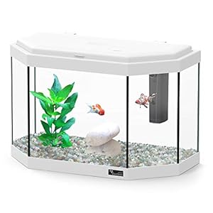 Aquatlantis Explorer Athens Aquarium, wit