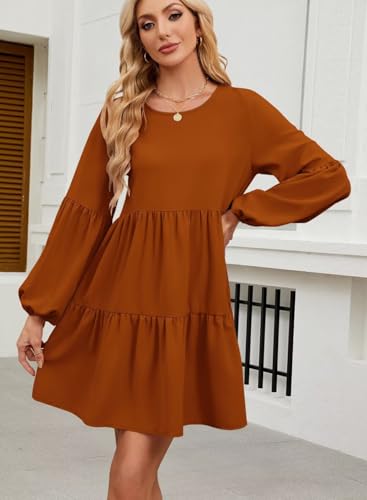 Image of QACOHU Falll Dresses for Women 2026 Crew Neck Long Lantern Sleeve Casual Loose Flowy Swing Shift Dress