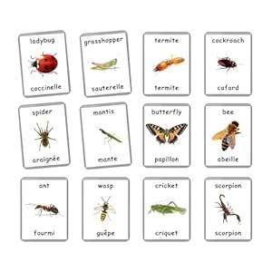 Generic Insects Bugs Flash Cards | 28 Laminated Flash Cards | Montessori Cards | Homeschooling | Nomenclature Cards | Bilingual Cards – Choose Your Language (French + English)
