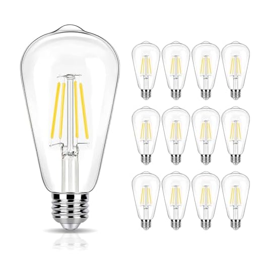 12 Pack LED Edison Bulbs 40W Equivalent,4 Watt LED Filament Bulb,4000K Daylight White ST19 Light Bulb,450LM E26 Vintage LED Bulbs for Ceiling Light Fixtures, Non-dim