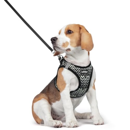 Image of rabbitgoo Dog Harness Medium Sized and Leash Set, Step-in Puppy Pet Vest