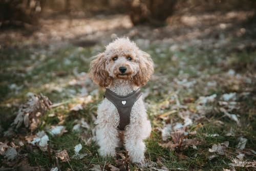 HUNTER Hundegeschirr Love, Farbe: braun, weiches Rindsleder, atmungsaktive Mesh-Polsterung, Herz handgenäht, hoher Komfort, Made in Germany, Größe: S