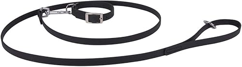Francisco Romero 8436586342609 - Collar con correa (0.6 x 23.6 in), color negro