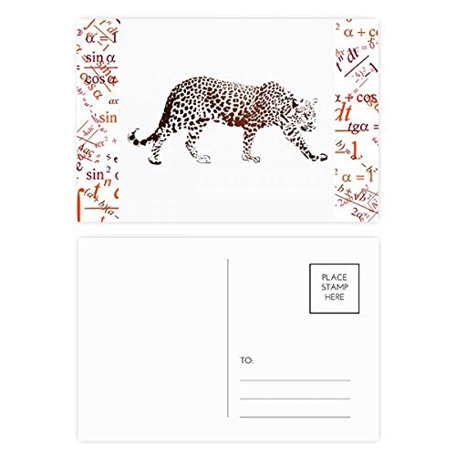 Lot de 20 cartes postales motif guépard marron pour rompre la monotonie