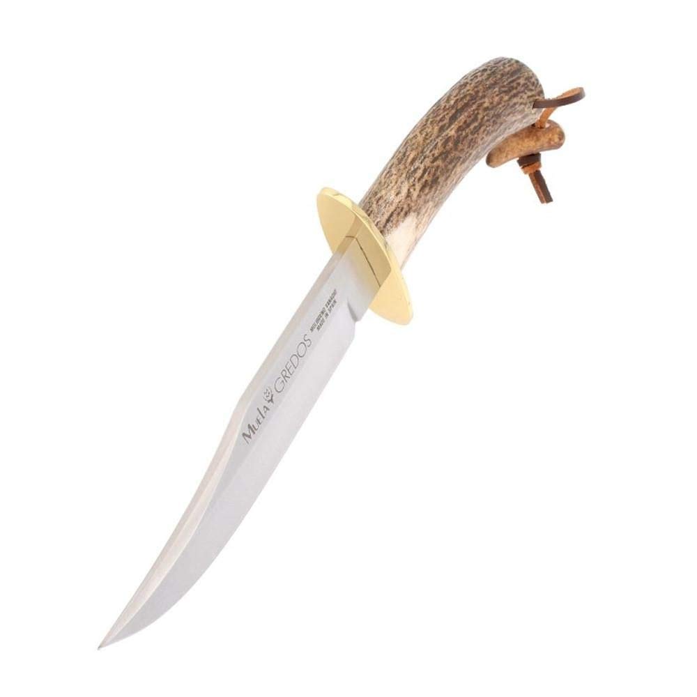 Muela Cuchillo de caza GRED-16 con hoja de acero inoxidable ACX-380 de 16 cm y empuñadura de madera de olivo para Caza, Pesca, Supervivencia y Bushcraft + Portabotellas de regalo