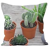 ✅Utilisation polyvalente : ces housses de coussin sont parfaites pour accentuer l'esthétique moderne de votre salon ou ajouter un look design à votre chambre. C'est un accessoire polyvalent qui rehausse sans effort n'importe quel style d'intérieur.