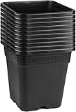 Easy Act 10er Set Pflanztopf viereckig 2L, 14,2x14,2x14,5 cm, Blumentopf aus...