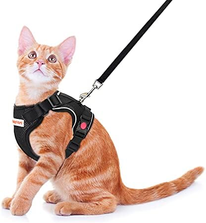 BABYLTRL Cat Harness and Leash Set for Walking, Escape Proof Cat Harness, Adjustable Breathable Outdoor Kittens Vest with Reflective Strip for Small Medium Large Cats Puppy Rabbit (Black, XS)