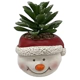 LYEAA Mini adornos de muñeco de nieve, maceta decorativa de Navidad, figura de Papá Noel, gnomo de resina, adornos de Papá Noel para decoración del hogar y escritorio (hombre de nieve)