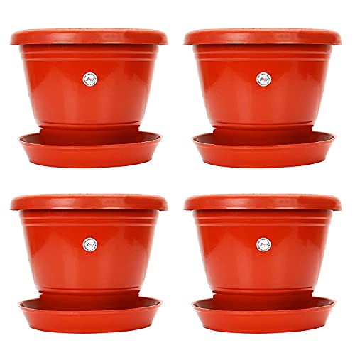 Image of Kraft Seeds Plastic Planter with Bottom Plate, Red, 7.5-inch , Pack of 4 & Summer Bloom Flower Seeds 3 Varieties in 1 Pack