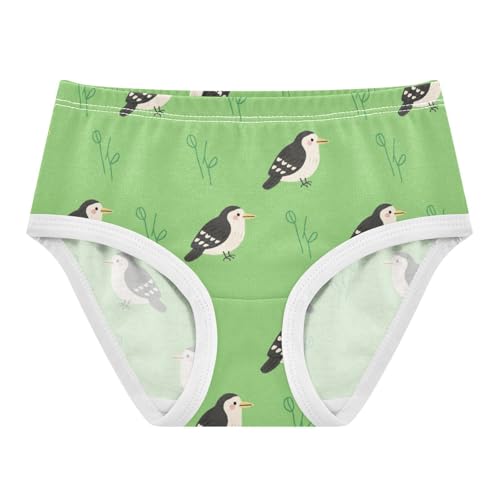 Girls' Underwear Cute Bird Green Toddle Brief Panties 2301486