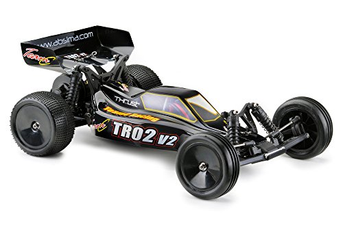 1:10 elektro buggy tr02v2 2wd rtr