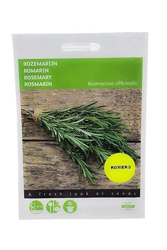 Semillas de Romero Planta con Propiedades Medicinales y de Uso Culinario