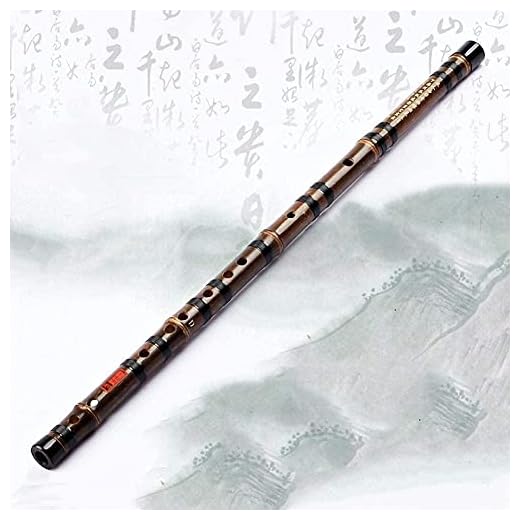 Kinesiska Dizi traditionell svart bambu spelar flöjt enkel sektion C, D, E, F, G Key(Color:G)