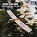 Fred's Flyers Balsa Wood Airplane Kits - 5-Pack - USA Made Wooden Glider Toy Planes for Kids