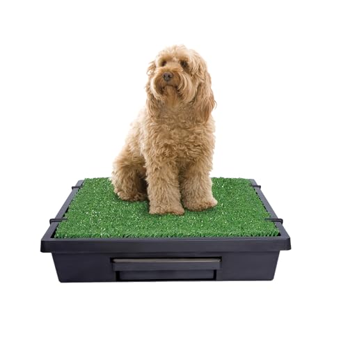PetSafe Pet Loo Portable Dog Potty - Pet Toilet Alternative for Puppy Pads - Medium - Perfect for House Training - Easy-to-Clean Grass Mat