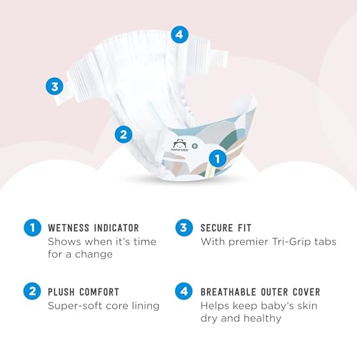 Amazon Brand - Mama Bear Plush Protection Diapers - Size 6, One Month Supply, Hypoallergenic Premium Disposable Baby Diapers, 100 Count (Pack of 4), White and Cloud Dreams
