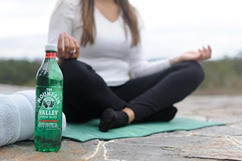 750 ML PET Spring Pack of 12