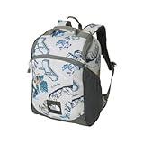 [ザノースフェイス] K Rectang ヨセミテキャンプベージュ