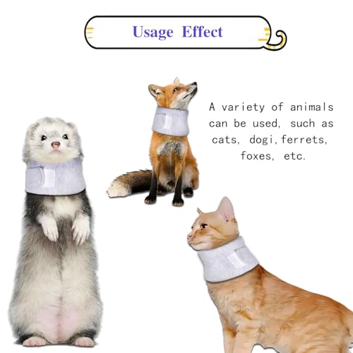 Image of Cat Cone Collar for Pet with Spinal IVDD Issues After Surgery Recovery, Adjustable Cat Neck Brace Elizabethan Collar, Neck Cervical Cone to Stop Licking for Small Medium Dog Puppy Kitten (Grey, S)