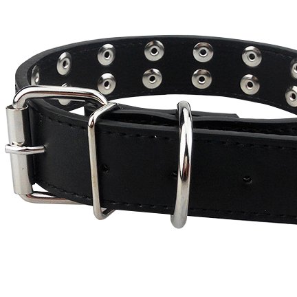 Adjustable Black Leather Studded Rivet Dog Collar Durable Spiked For Dogs (M, Black) (M, Black) #TOP4