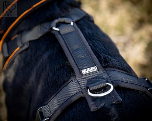 BUMER Hundegeschirr Softshell gepolstert Y-Geschirr Brustgeschirr schwarz verstellbar mit Premium Gurtband und hochwertigen Klickverschlüssen XXS bis XL für kleine und große Hunde (L)