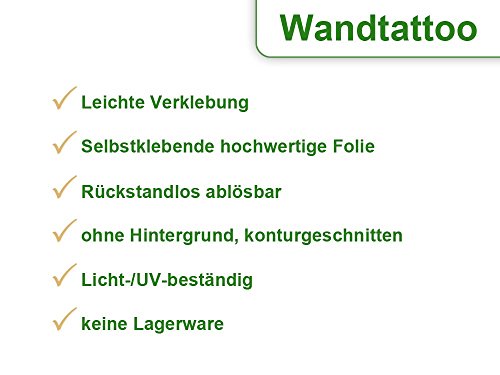 Adesivo da parete appendiabiti con 5 ganci