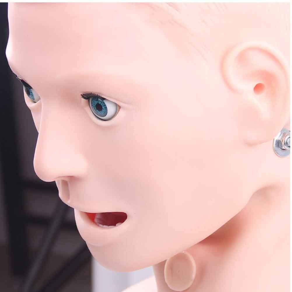 5-teiliges Trainingsmodell, multifunktionales Pflegemodell, menschliches anatomisches Modell, Patientenaufklärung für Schule und Bildung