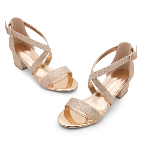 Image of Shoe Land SL-LESSA Women's Low Heels Open Toe Dress Heeled Sandals Cross Ankle Strap Chunky Block Short Heel Pumps Shoes for Office Prom Wedding Party