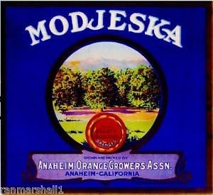 Magnet Anaheim Orange County Modjeska Orange Citrus Fruit Crate Magnet Art Print