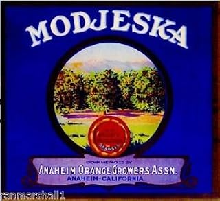 Magnet Anaheim Orange County Modjeska Orange Citrus Fruit Crate Magnet Art Print