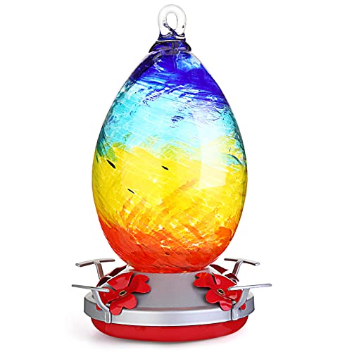 Top 10 Best No Leak Hummingbird Feeder Reviews & Buying Guide Katynel