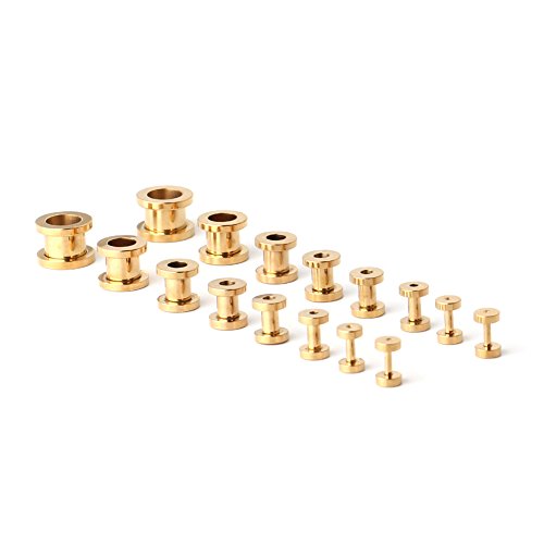 Ruifan 16pcs Surgical Steel Screw Tunnel Gauge Ear Expander Stretching Kit Plugs Piercing -8 Pairs 14g-00g (1.6mm-10mm)