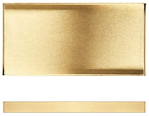 Batreetek 金属製収納トレイ ステンレス 鏡面加工 ジュエリーディスプレイ アクセサリー 小物収納 置き ゴールド コイン 化粧トレー 釣り銭トレー家の装飾 長方形