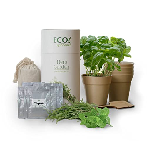 ECOgardener Herb Garden Kits - Indoor Herb Garden Kits - Herb Seed Kits for Indoor Gardening - Window or Kitchen Herb Garden Kits - 5 Pack + 2 Bonus Herbs