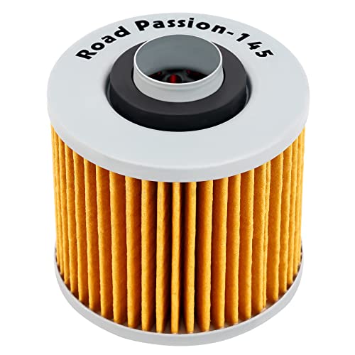 Road Passion Filtre à l'huile pour YAMAHA MT03 660 2006-2011 BT1100 BULLDOG 1063 2002 2003 2004 2005 2006