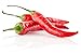 CAYENNE PEPPER, LONG RED THIN PEPPER SEEDS, HEIRLOOM, 20 SEEDS,GREAT FRESH OR DRIED