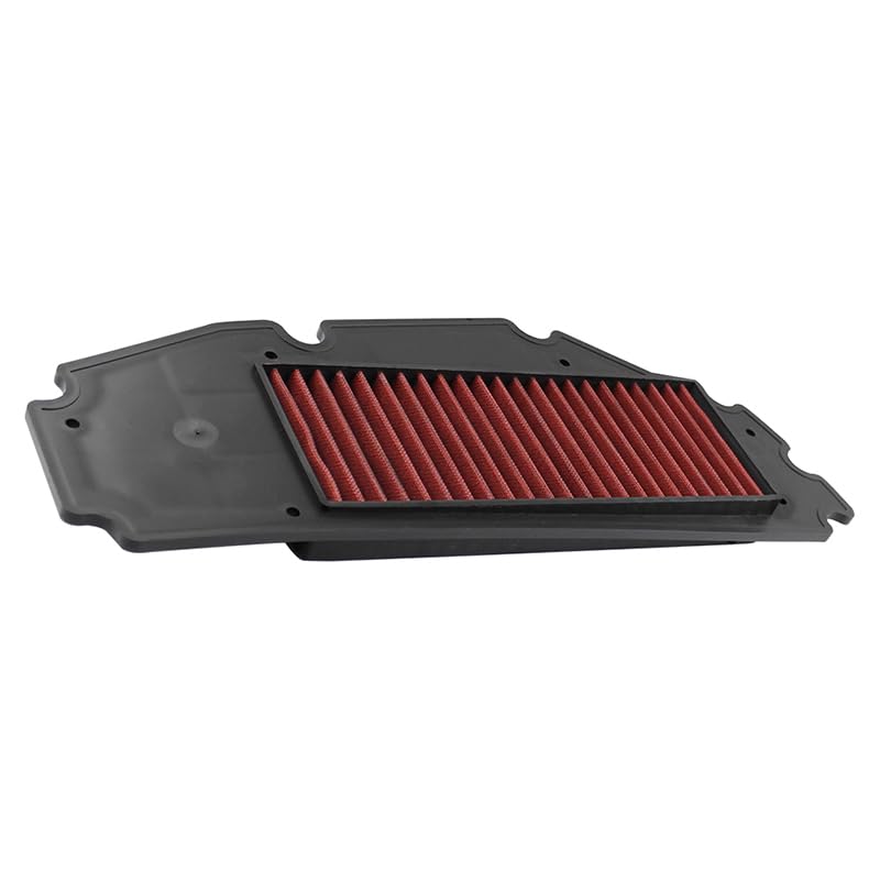Filtre à air Road Passion haute filtration pour SYM JOYMAX300