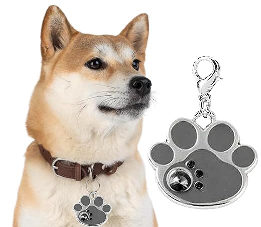 D&C PAWS Pet Beautiful Paw Shape Collar Pendant Gemstone Shiny and Attractive Rust Proof Identification Tag Cute Locket Ideal for Dog and Cat (Grey, Pack of 1) (B0CKXT346B) Amazon Price History, Amazon Price Tracker