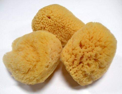 Value Pack of 3 Natural Brown Silk Greek Sea baby Sponges