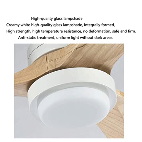 Ventilateur de plafond moderne avec télécommande contre la chaleur