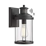 Zeyu Outdoor Wall Light, Exterior Wall Sconce with Dusk to Dawn and Motion Sensor, Black Finish with Clear Glass Shade, ZW07B-SE BK