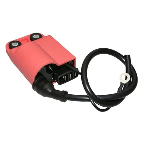 cyclingcolors Zündspule motorrad moped roller mofa kompatibel mit piaggio zip typhoon nrg gilera stalker runner